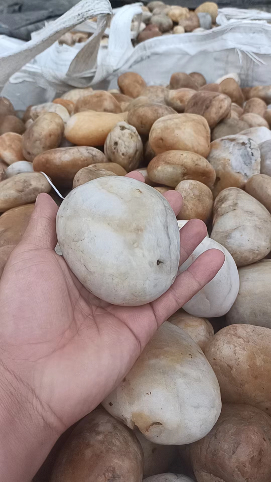 潜江鹅卵石